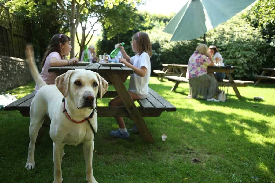 เดอะ สตาร์ แอนด์ การ์เตอร์ Bed & Breakfast อีสต์ ดีน ภายนอก รูปภาพ